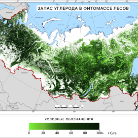 Запас углерода в фитомассе лесов России, 2021 г. Данные ИАС «Углерод-Э»