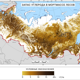 Запас углерода в мортмассе лесов России, 2021 г. Данные ИАС «Углерод-Э»