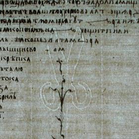 Пример филиграни на листе рукописи из собрания ГИМ. Изображения сделаны Е. В. Ухановой (ГИМ) с помощью прибора Slimlight в видимом свете