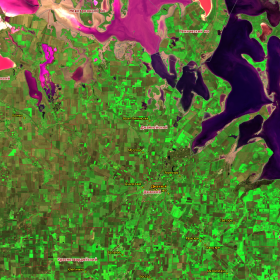 Вегетация озимых культур в Республике Крым на снимке спутника Sentinel-2C (прибор MSI), полученный 2025-11-01 08:47:16 (RGB-синтез «Поверхность» ). Изображение получено с помощью информационной системы «ВЕГА-Science» (ИКИ РАН)